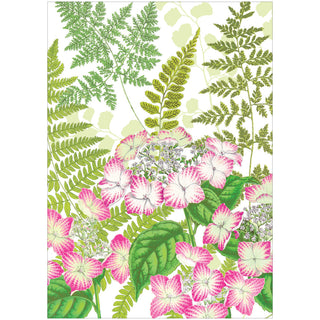Fern Garden Assorted Notes 8-In Box