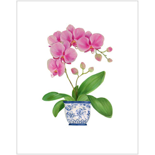 Potted Orchids Boxed Note Cards - 10 Cards and 10 Envelopes per Package