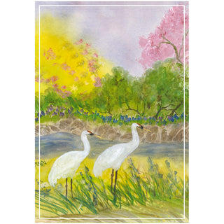 Pair Of Cranes Anniversary Greeting Card - 1 card with envelope