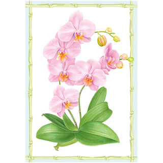 Pink Orchid Eday N Size-Thank You