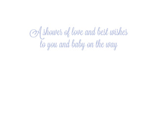 Baby Shower Calico Baby Shower Greeting Card - 1 card with envelope