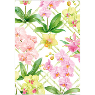 Orchid Conservatory Blank Greeting Card - 1 card with envelope
