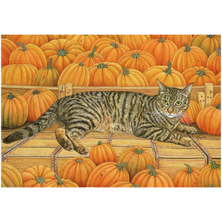 Cat And Pumpkin Blank Greeting Card - 1 card with envelope