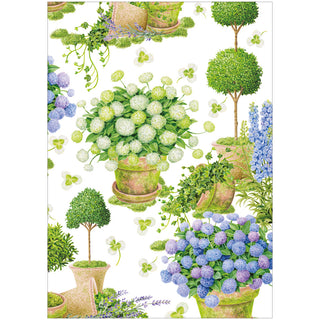 Potted Hydrangeas Assorted Boxed Note Cards - includes 8 notes & envelopes