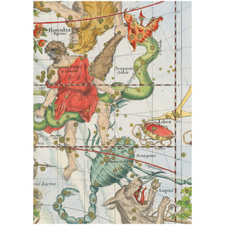 Zodiac Assorted Boxed Note Cards - includes 8 notes & envelopes