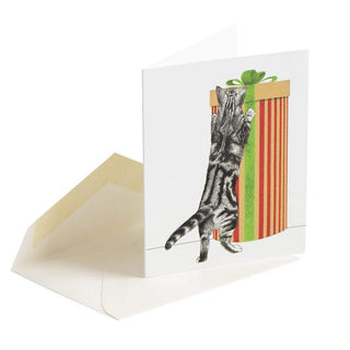Curious Christmas Cats Enclosures Package 4 In W/Env
