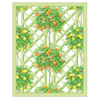 Citrus Topiaries Bridge Tallies Pkg 12 In