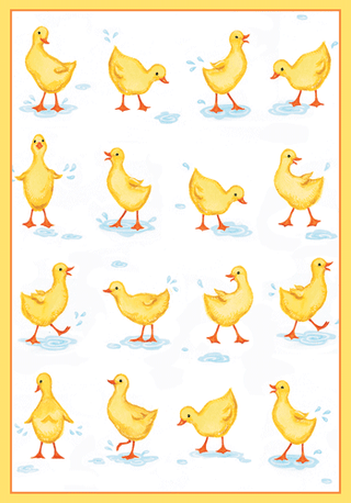 Ducks Eday N Size-Baby