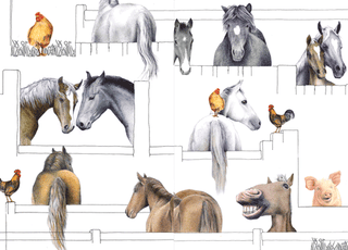 Horsing Around Eday N Size-Birthday (Ff)