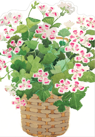 Basket Of Geraniums Mother's Day Die Cut Greeting Card - 1 card with envelope