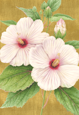 Hibiscus Anniversary Greeting Card - 1 card with envelope