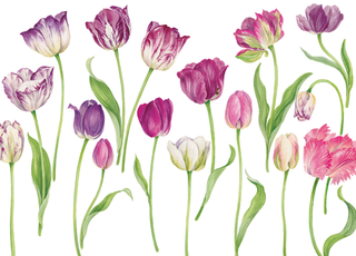 Easter Tulips Easter Greeting Card - 1 card with envelope