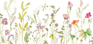 Wildflowers Blank Triple Fold Greeting Card - 1 card with envelope