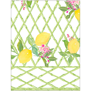 Limoncello Cotton Reversible Kantha Quilt Table Cover