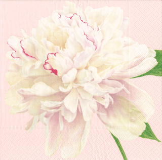 Duchess Peonies Blush Napkin Luncheon
