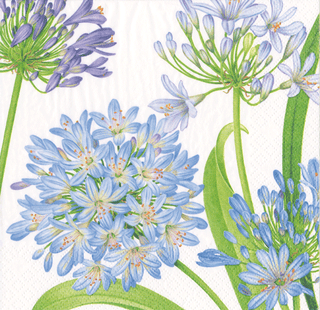 Agapanthus Garden Napkin Cocktail