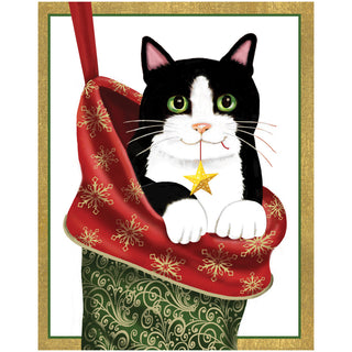 Cat In Stocking Mini Christmas Cards in Cello Pack - 5 Cards & 5 Envelopes