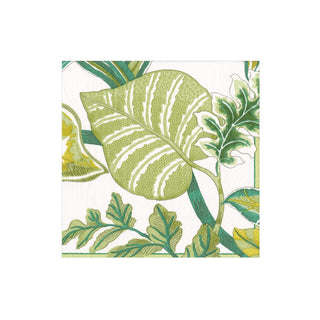 Florida Boxed Cocktail Napkins in Ivory - 40 Per Box
