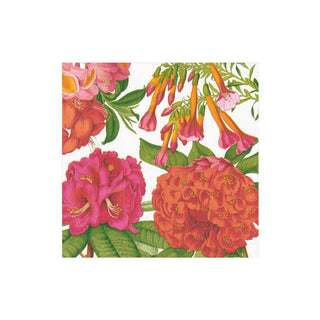 Caspari Jefferson's Garden Study Boxed Paper Cocktail Napkins in White - 40 Per Box 15790B