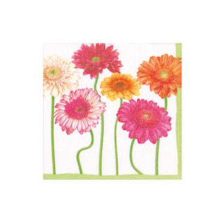 Blooming Daisy Boxed Cocktail Napkins - 40 Per Box