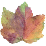 Caspari Autumn Leaf Die-Cut Placemat - 1 Each 3066PMS