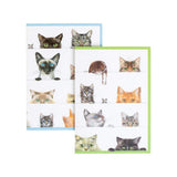 Caspari Kitties Boxed Note Cards - 8 Note Cards & 8 Envelopes 84608.46