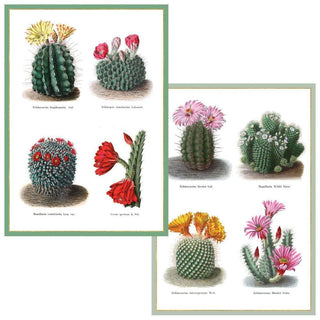 Caspari Cacti Boxed Note Cards - 8 Note Cards & 8 Envelopes 88611.46