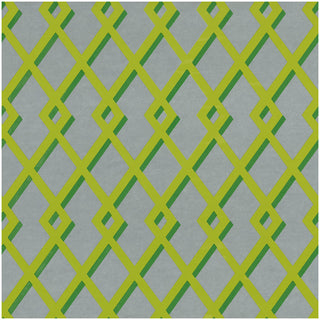 Trellis Green & Silver Foil Gift Wrapping Paper - 76 cm x 1.83 m Roll