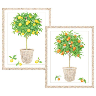 Caspari Citrus Topiaries Assorted Embossed Boxed Note Cards - 10 Note Cards & 10 Envelopes 92611.46A