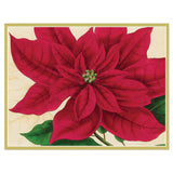 Poinsettia Boxed Christmas Cards - 12 Cards & 13 Envelopes
